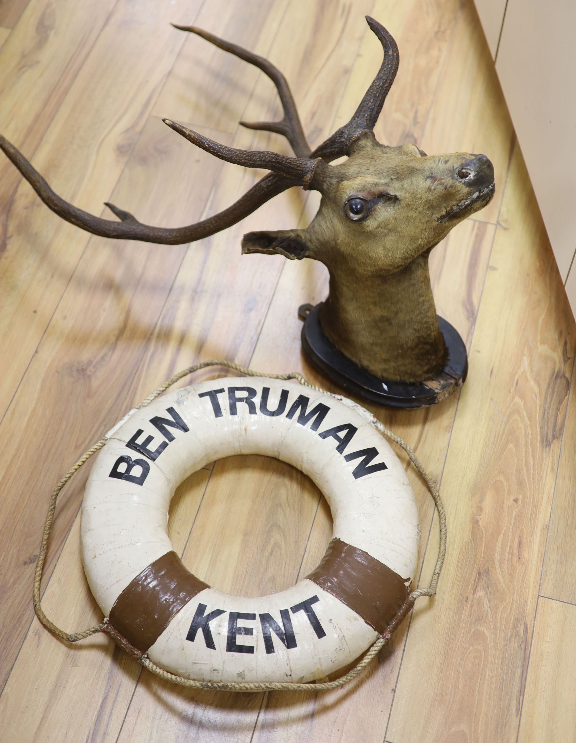 A taxidermic stags head with antlers (a.f.) and a vintage life saving ring (2)